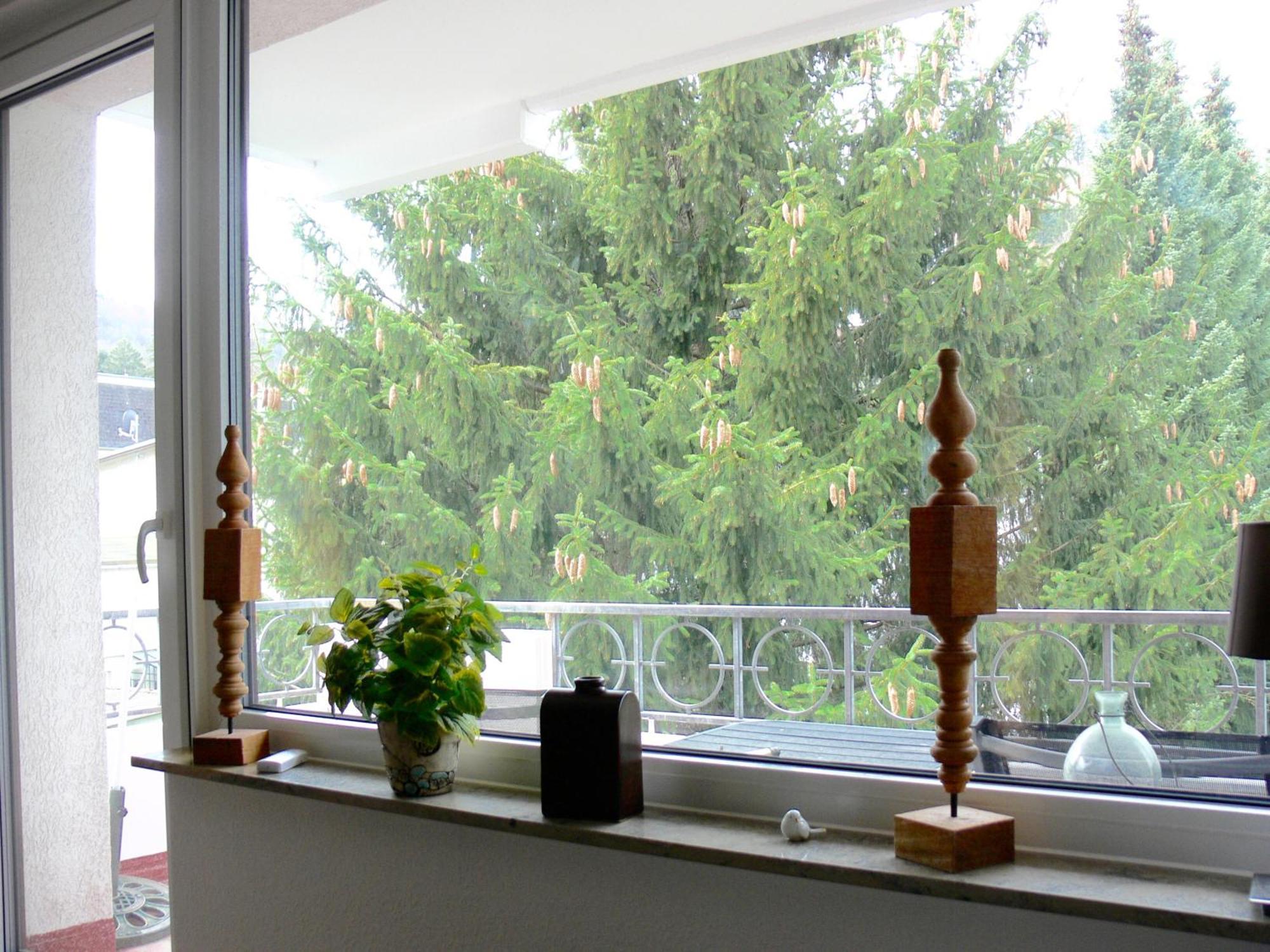 Ferienwohnung Hudewusch Bad Harzburg Exterior foto