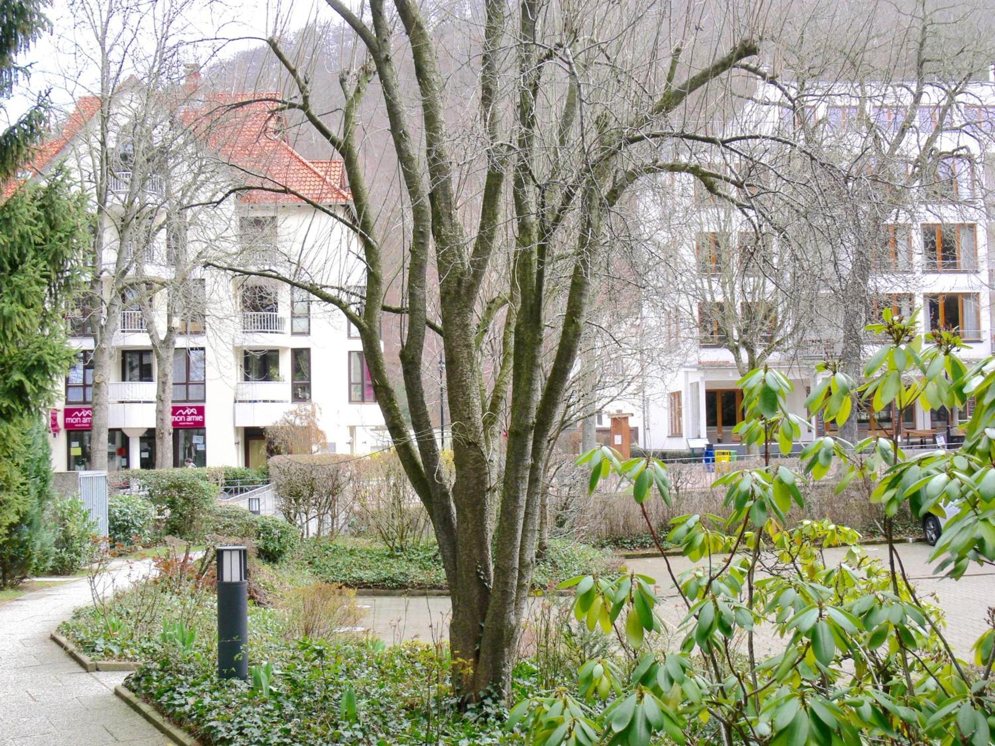 Ferienwohnung Hudewusch Bad Harzburg Exterior foto